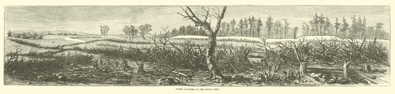 Works Captured by the Sixth Corps, April 1865 by American School