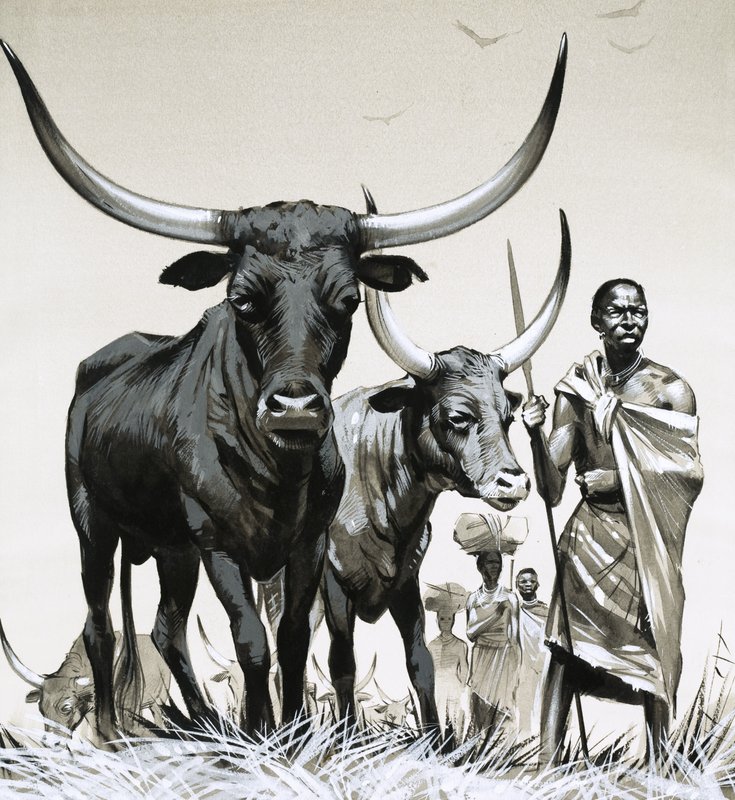 Ankole Cattle by Angus McBride