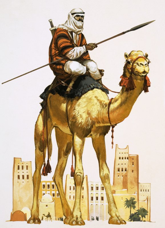 Arab on Camel by Angus McBride