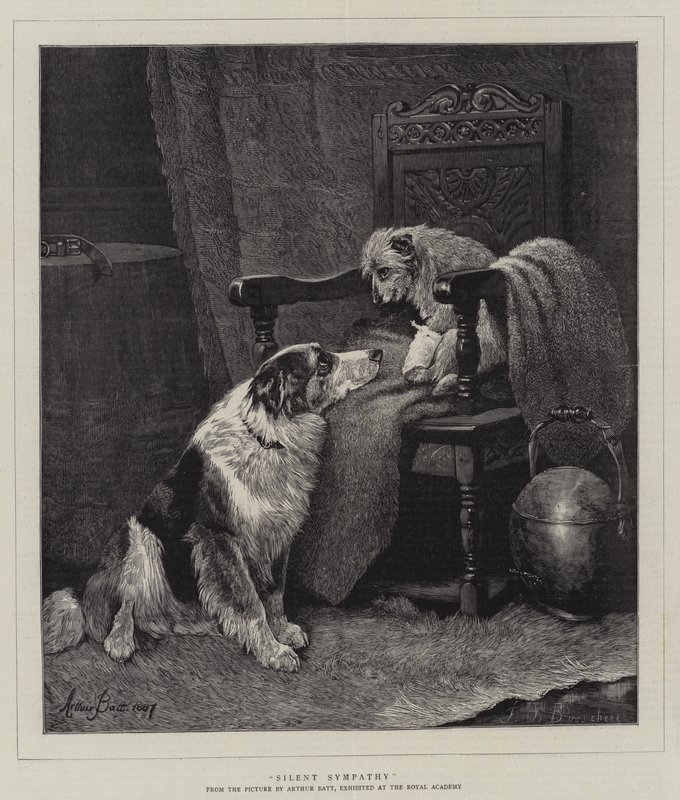 Silent Sympathy by Arthur Batt