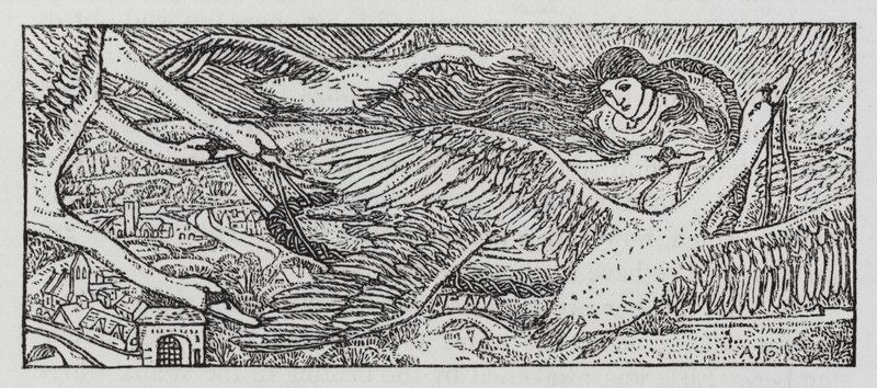 Hans Christian Andersen: The Wild Swans by Arthur Joseph Gaskin