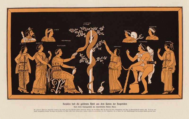 Heracles Stealing the Golden Apples from the Garden of the Hesperides by Asteas Asteas
