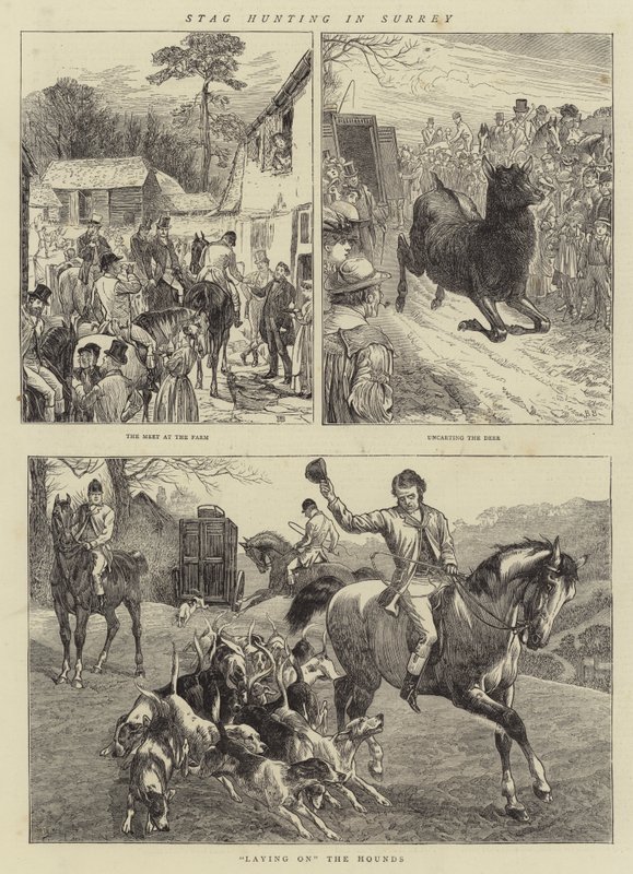 Stag Hunting in Surrey by Basil Bradley
