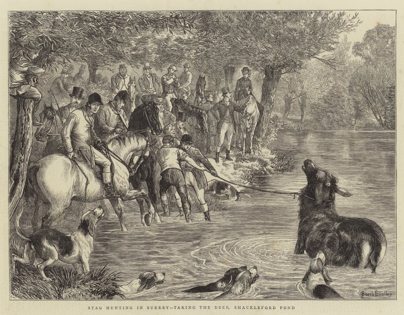 Stag Hunting in Surrey, taking the Deer, Shackleford Pond by Basil Bradley