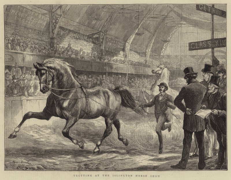 Trotting at the Islington Horse Show by Basil Bradley
