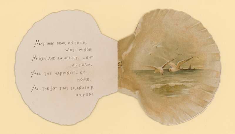 Illustration for Booklet Entitled Sea Shells by Benjamin D. Sigmund