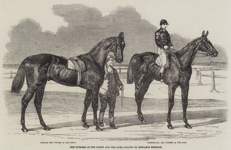 The Winners of the Derby and the Oaks by Benjamin Herring