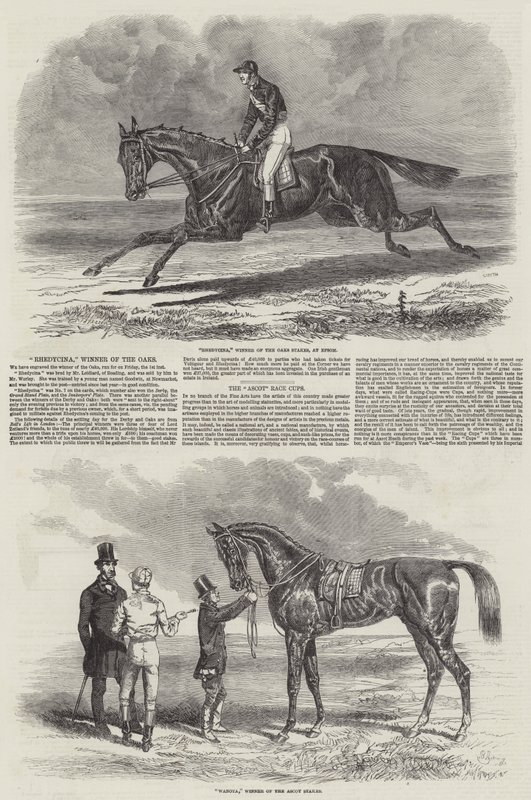 Winning Racehorses by Benjamin Herring