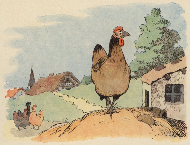 Illustration for Chantecler by Benjamin Rabier by Benjamin Rabier