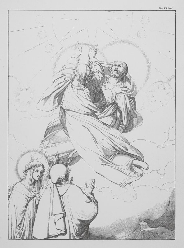 Dante
