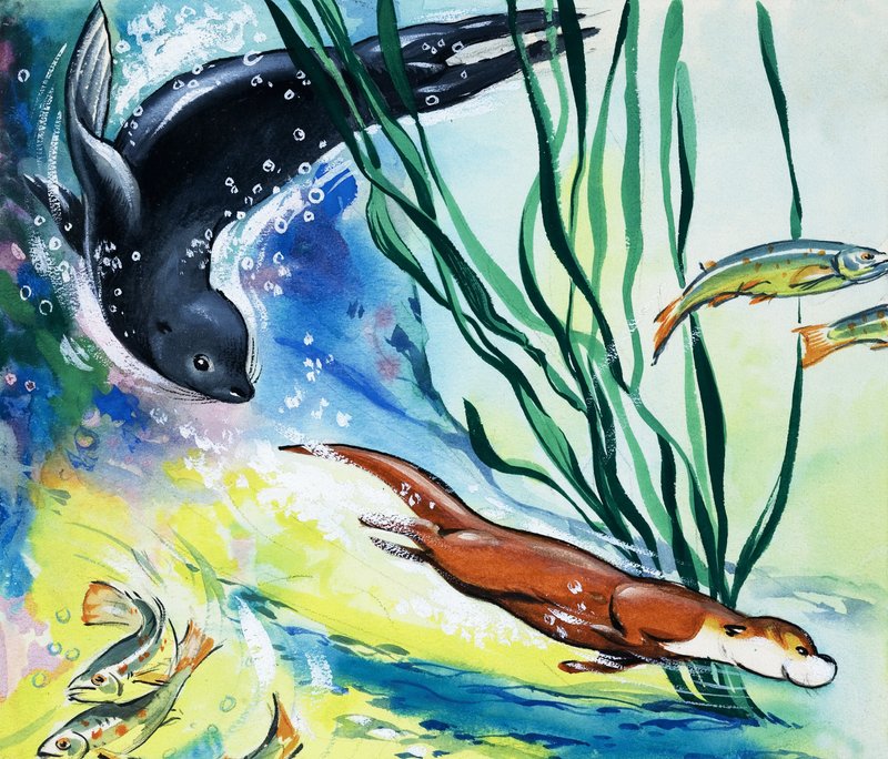 Fliptail the Otter by Bert Felstead