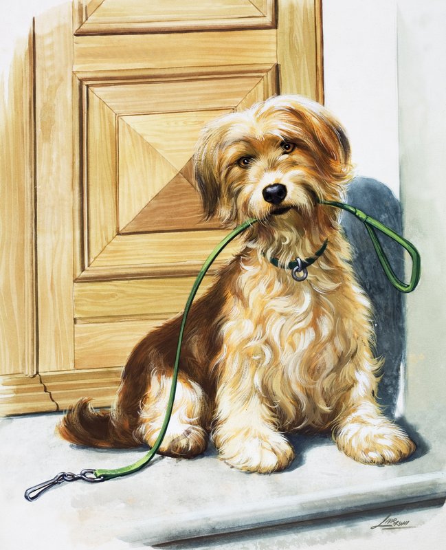 Dog holding lead in its mouth by Bert Illoss