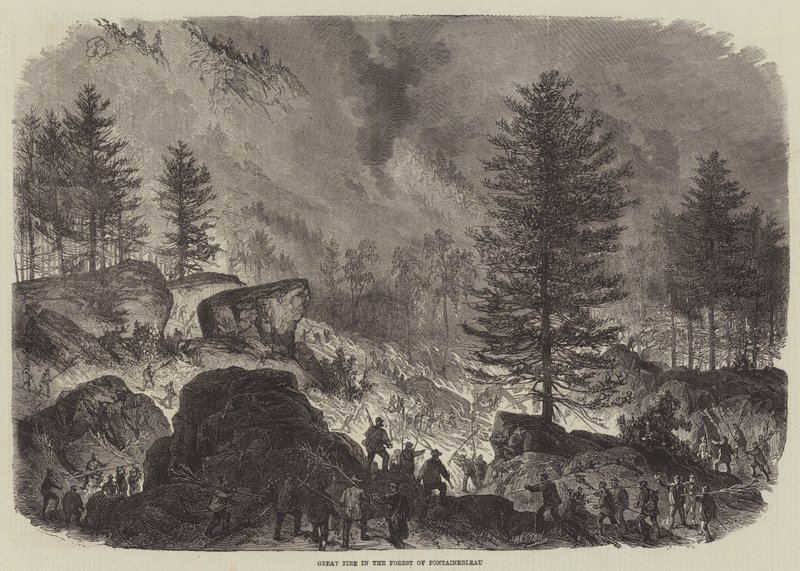 Great Fire in the Forest of Fontainebleau by Burn Smeeton