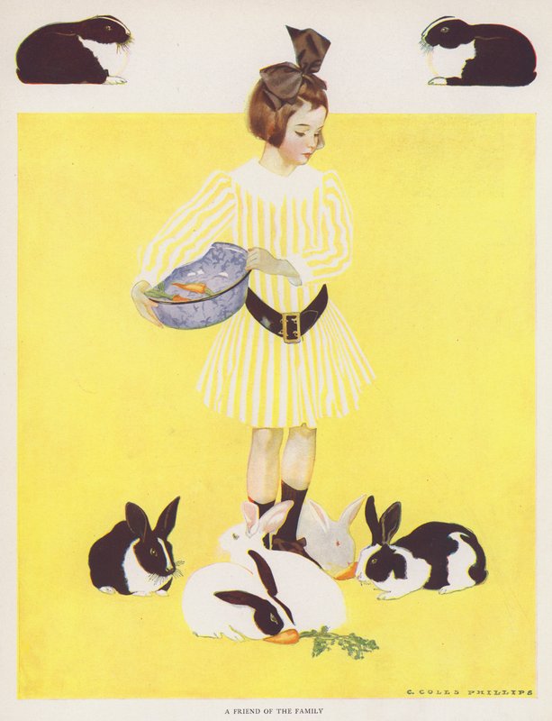 Coles Phillips Girl, a Friend of the Family by C. Coles Phillips