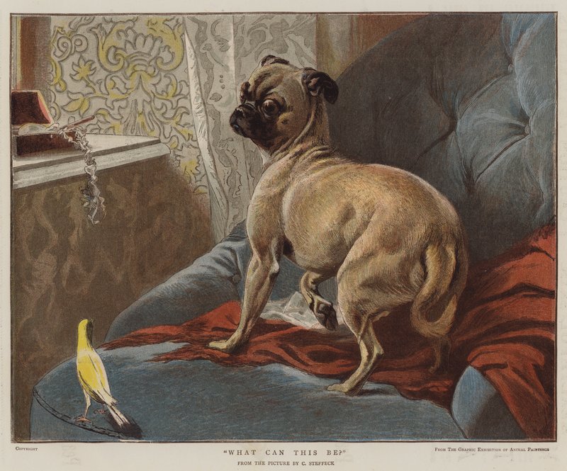 What can this be by Carl Constantin Steffeck