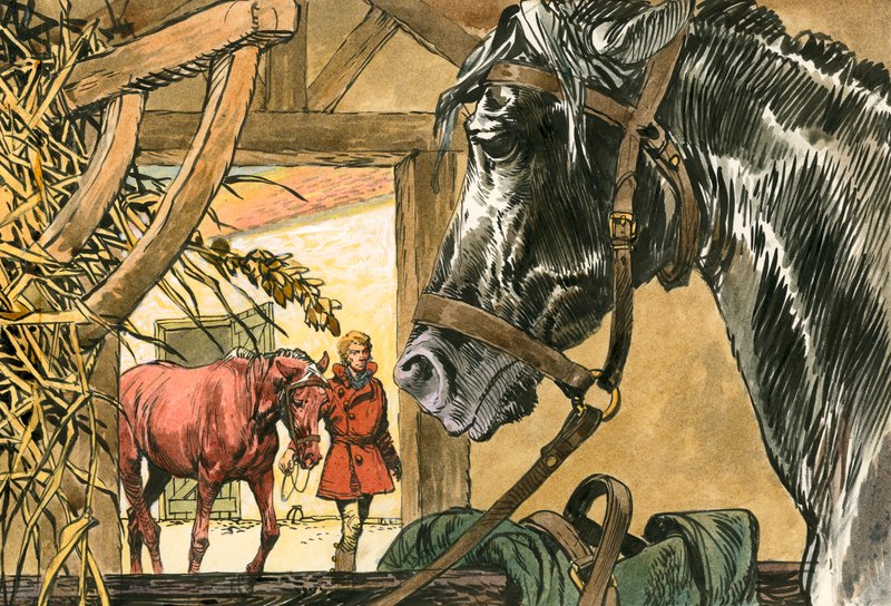 Black Beauty by Carlos Gabriel Roume