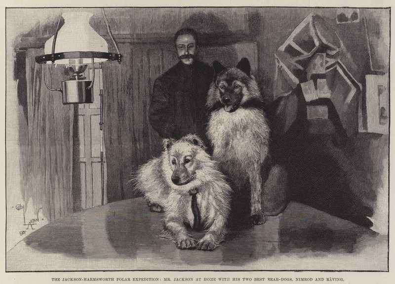 The Jackson-Harmsworth Polar Expedition, Mr Jackson at Home with his Two Best Bear-Dogs, Nimrod and Raving by Cecil Charles Windsor Aldin