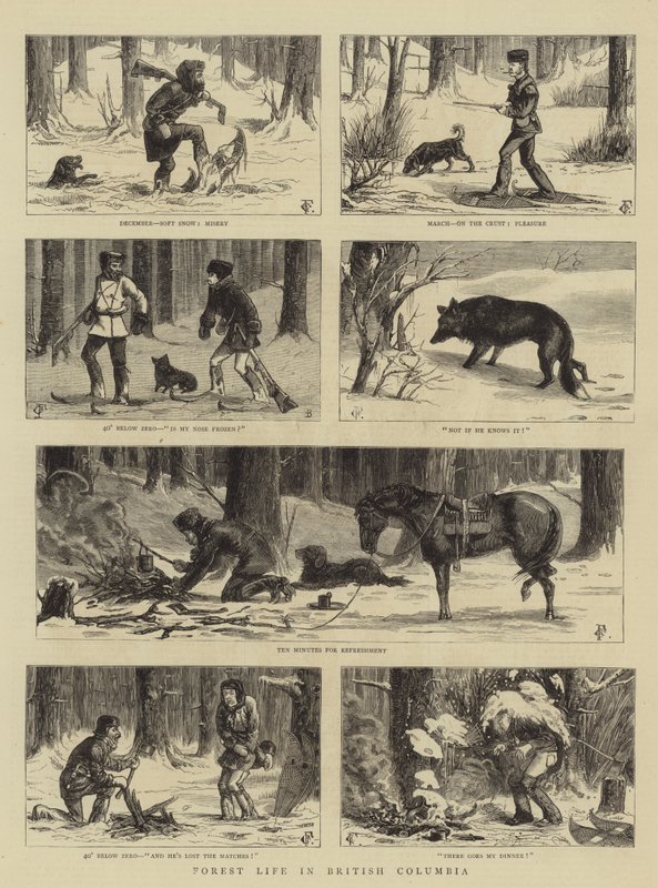 Forest Life in British Columbia by Charles Edwin Fripp