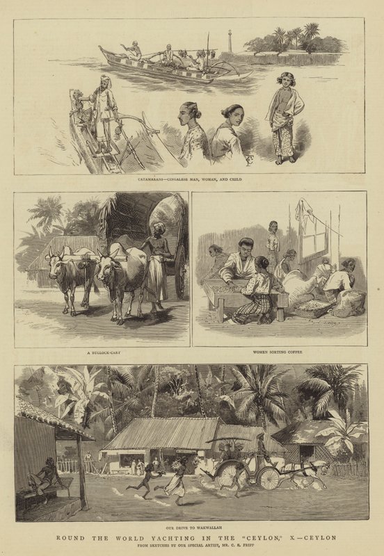 Round the World Yachting in the Ceylon, X, Ceylon by Charles Edwin Fripp
