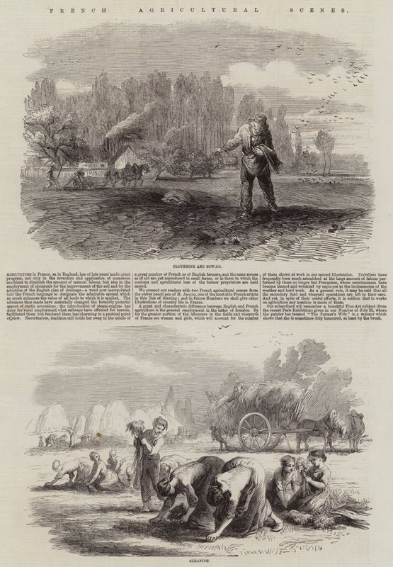 French Agricultural Scenes by Charles Emile Jacque