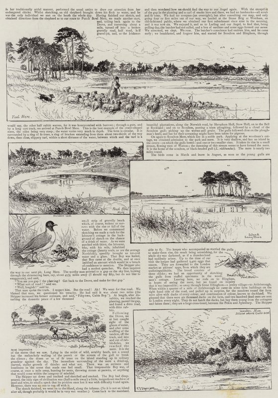 Norfolk Nooks by Charles J. Staniland