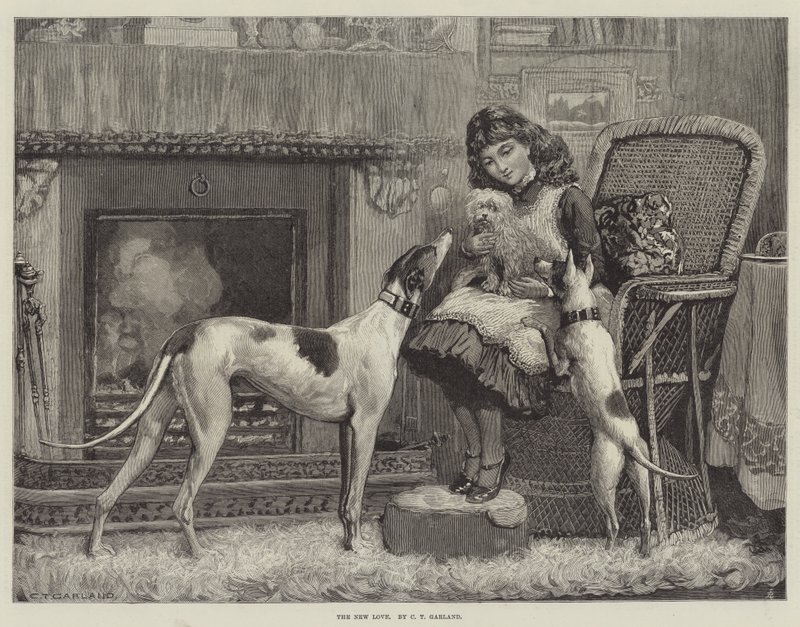 The New Love by Charles Trevor Garland
