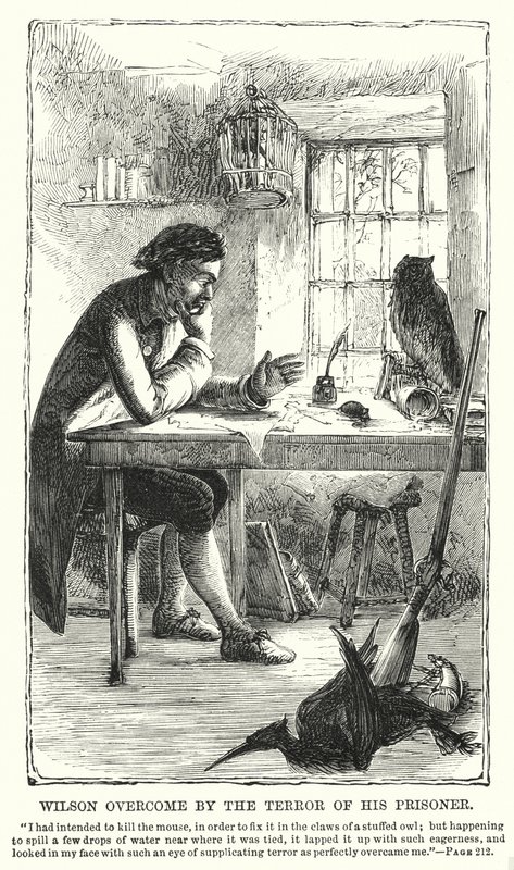 Wilson Overcome by the Terror of His Prisoner by Charles Altamont Doyle
