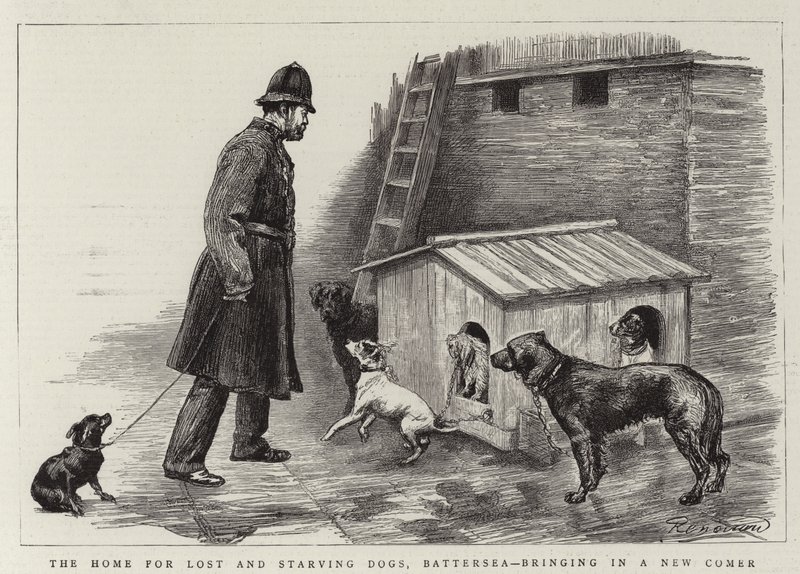 The Home for Lost and Starving Dogs, Battersea, bringing in a New Comer by Charles Paul Renouard