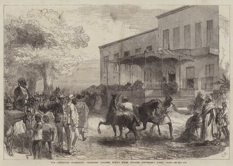 The Abyssinian Expedition, Transport Officers buying Mules opposite Shepheard