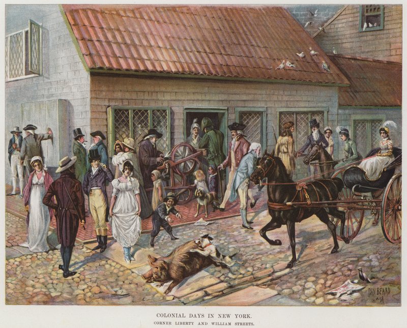 Colonial Days in New York by Daniel Carter  Beard