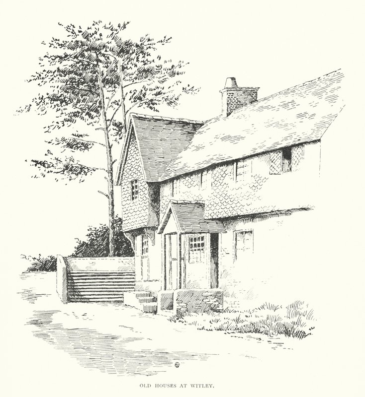 Old houses at Witley by Duncan Moul
