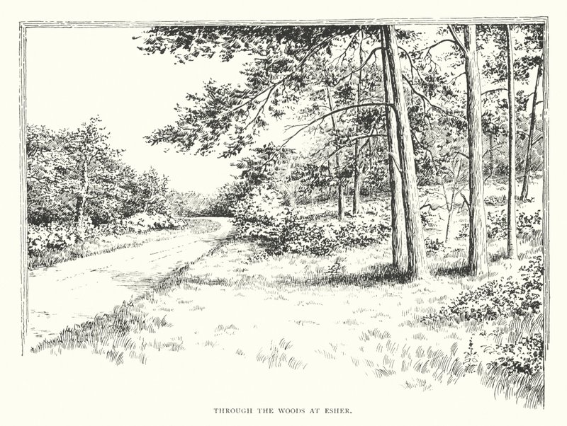 Through the woods at Esher by Duncan Moul