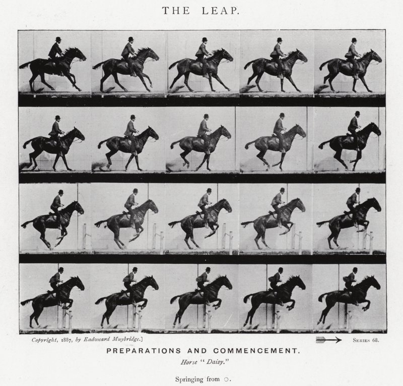 Eadweard Muybridge: The Leap (b/w photo) by Eadweard Muybridge