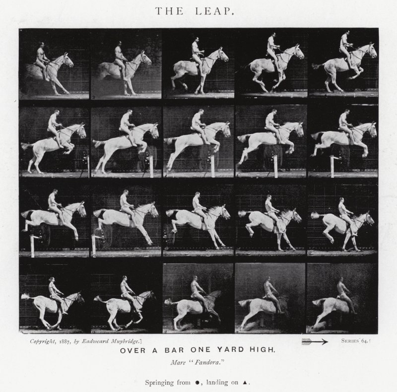 The Leap by Eadweard Muybridge