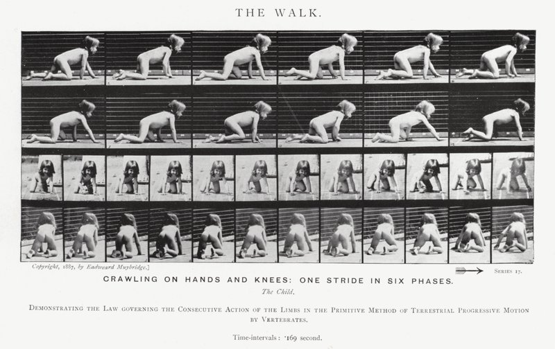 Eadweard Muybridge: The Walk by Eadweard Muybridge