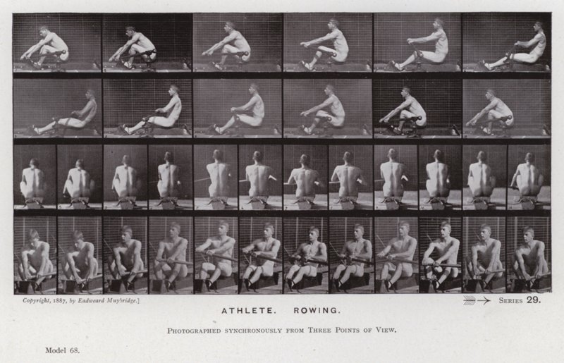 The Human Figure in Motion: Athlete, Rowing by Eadweard Muybridge