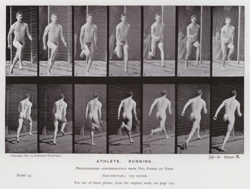 The Human Figure in Motion: Athlete, Running by Eadweard Muybridge