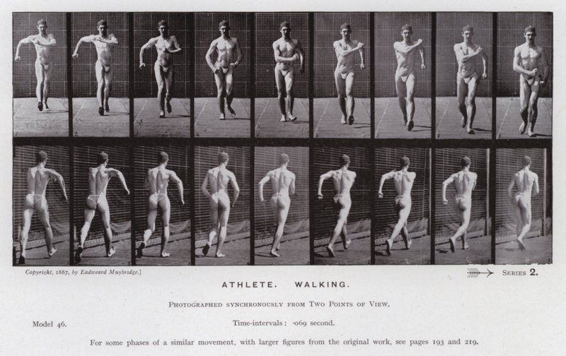 The Human Figure in Motion: Athlete, Walking by Eadweard Muybridge