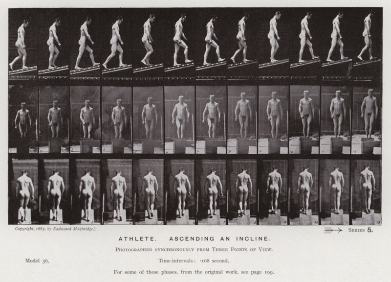 The Human Figure in Motion: Athlete, ascending an incline by Eadweard Muybridge
