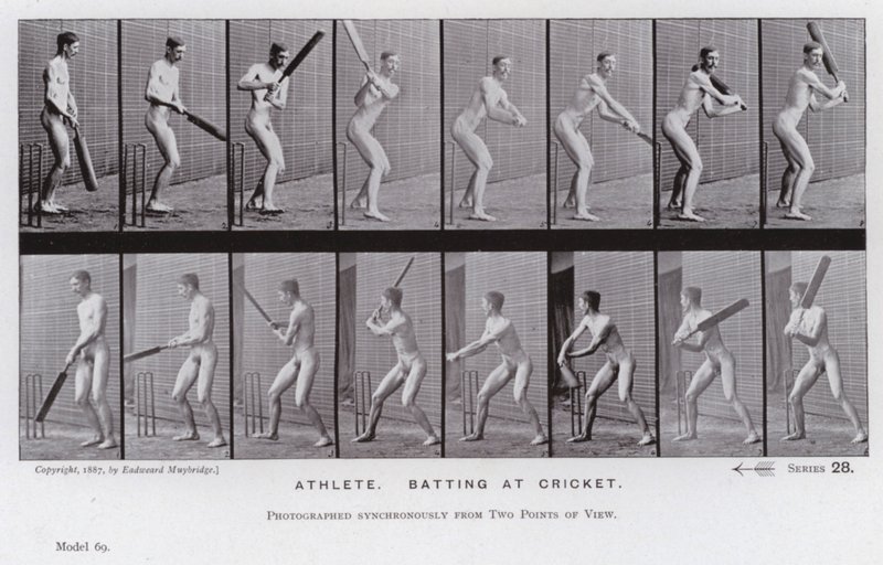 The Human Figure in Motion: Athlete, Batting at Cricket by Eadweard Muybridge