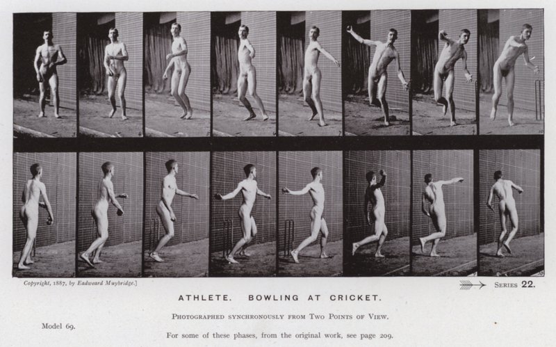 The Human Figure in Motion: Athlete, bowling at cricket by Eadweard Muybridge