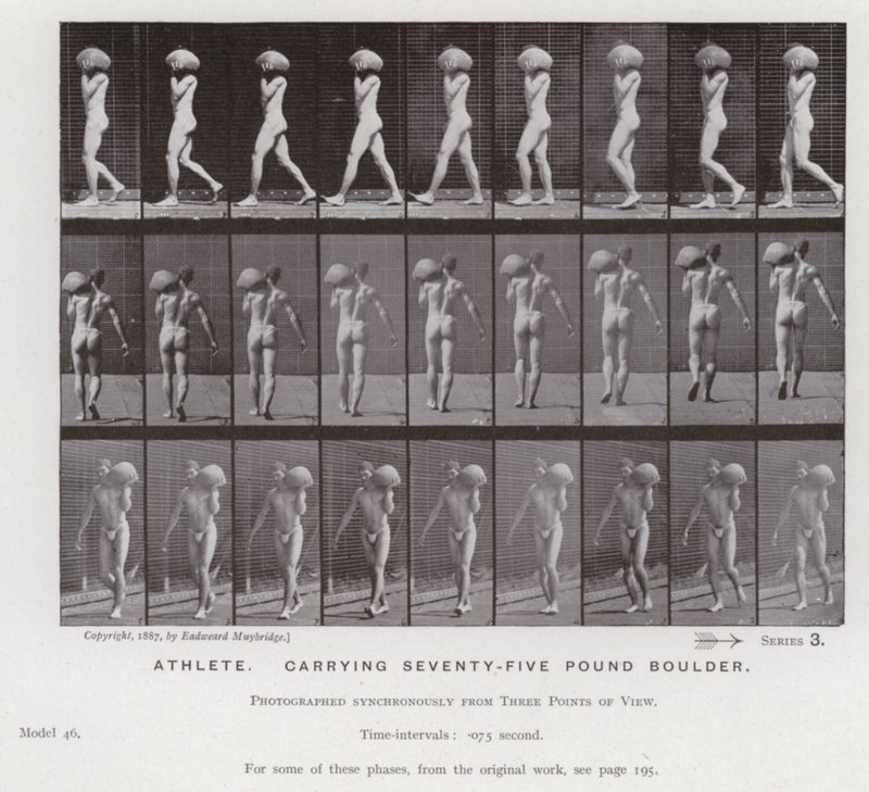 The Human Figure in Motion: Athlete, carrying seventy-five pound boulder by Eadweard Muybridge