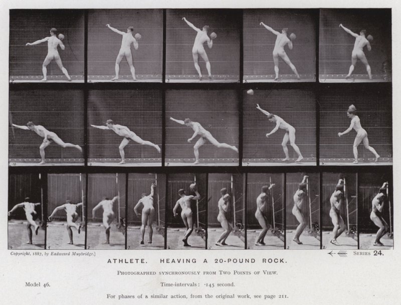 The Human Figure in Motion: Athlete, heaving a 20-pound rock by Eadweard Muybridge