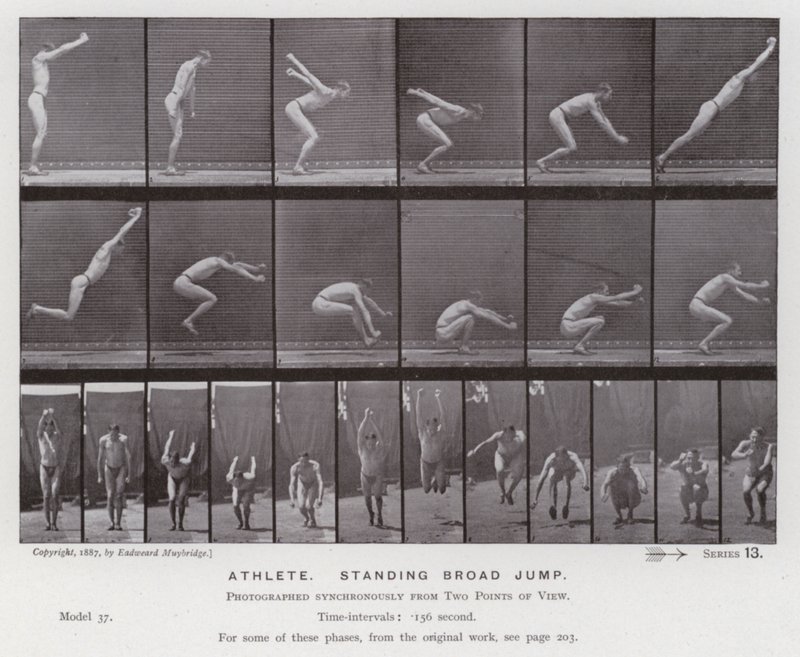 The Human Figure in Motion: Athlete, standing broad jump by Eadweard Muybridge