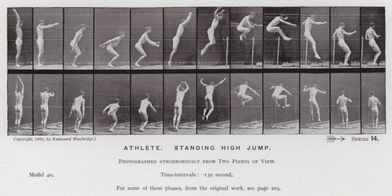 The Human Figure in Motion: Athlete, standing high jump by Eadweard Muybridge