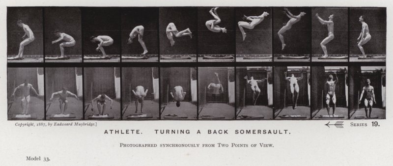 The Human Figure in Motion: Athlete, turning a back somersault by Eadweard Muybridge