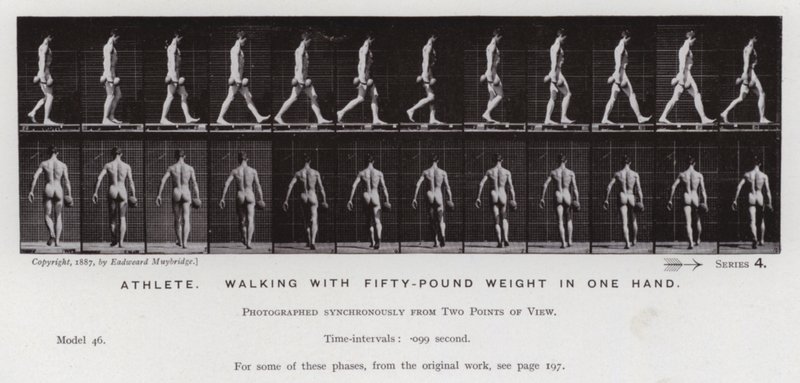 The Human Figure in Motion: Athlete, walking with fifty-pound weight in one hand by Eadweard Muybridge