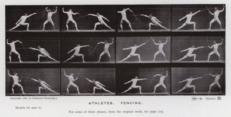 The Human Figure in Motion: Athletes, Fencing by Eadweard Muybridge