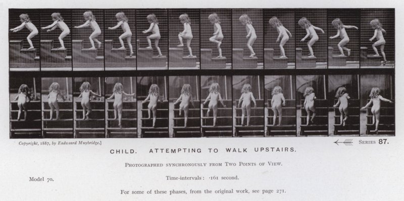 The Human Figure in Motion: Child, attempting to walk upstairs by Eadweard Muybridge