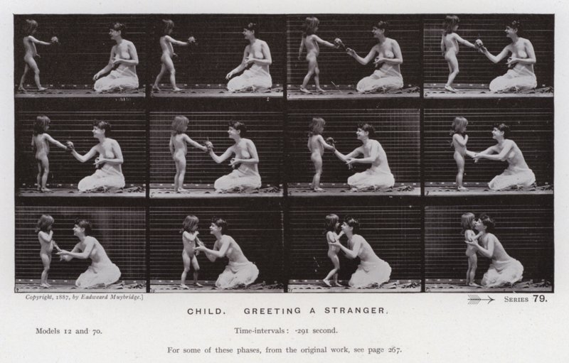 The Human Figure in Motion: Child, greeting a stranger by Eadweard Muybridge